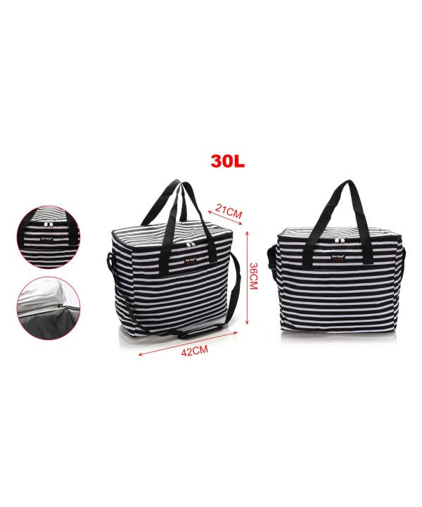 Borsa Frigo 30L Borsa Termica Porta Pranzo Misura 42X21X36cm
