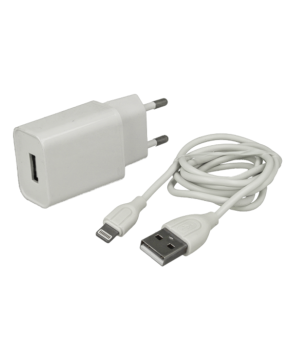 Caricabatterie Con Cavo Lightning 5V 2A Ricarica Veloce per Iphone Ipad