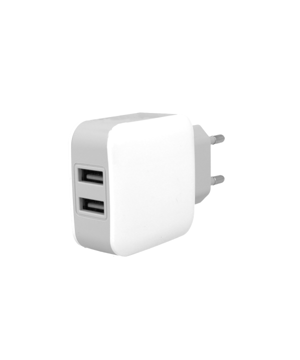 Caricatore 2 Porte USB 5V 2,1A Ricaricabatteria USB Ricarica Veloce