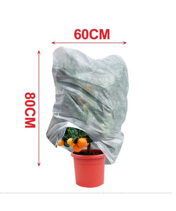 6 Pezzi Cappuccio Protettivo per Piante Materiale TNT 17g/m² 60X80cm Sacco Protezione Alberi Inverno