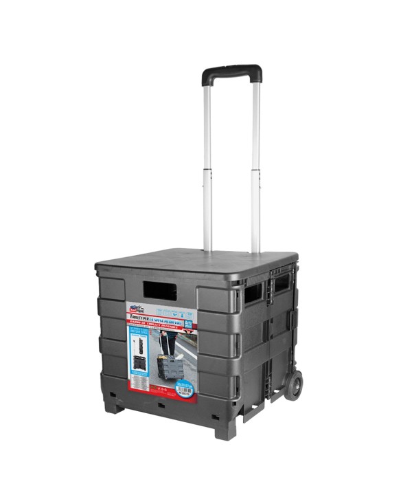 Carello Porta Spesa Pighevole Nero Manico Telescopico Fino a 35kg 2 Ruote in Gomma Salvaspazio 37x38x33cm