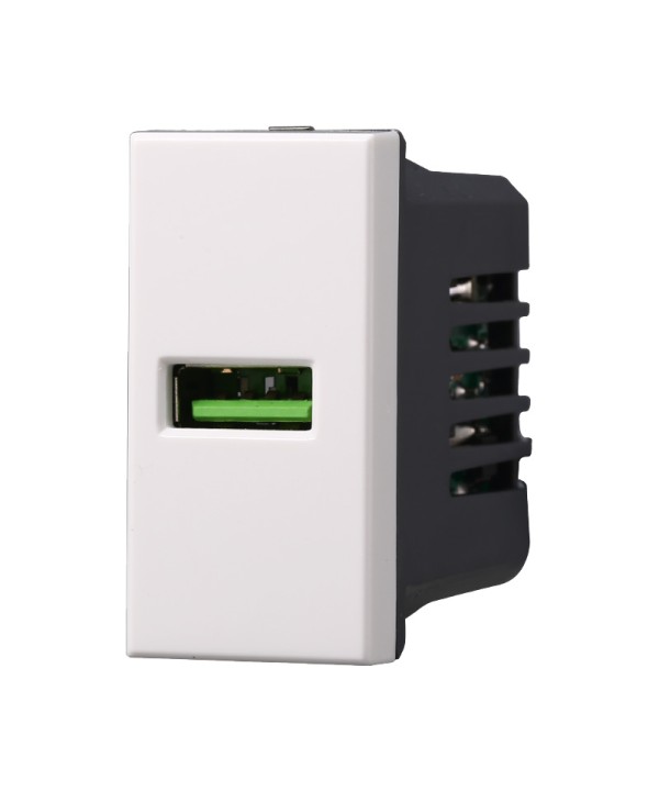 ETTROIT Modulo Presa Caricatore USB 5V 2,1A Colore Bianco Compatibile Con Bticino Axolute