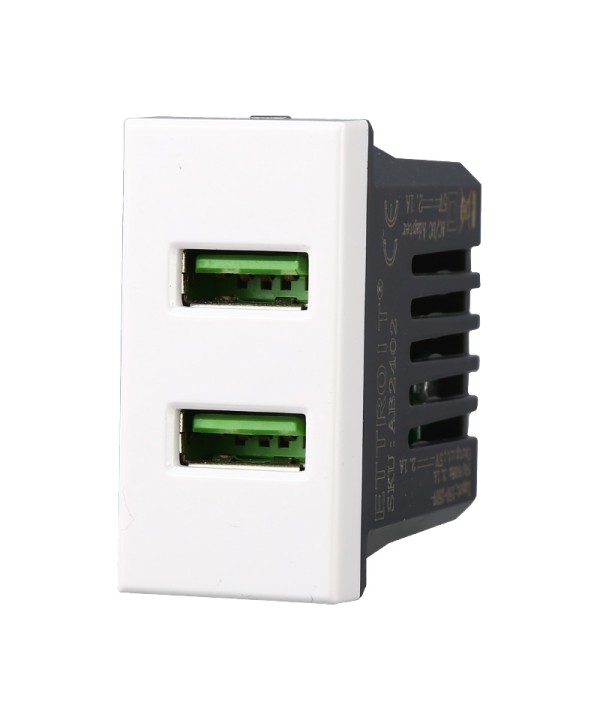 ETTROIT Modulo Presa Caricatore 2 USB 5V 2,1A 2 Porte USB-A Colore Bianco Compatibile Con Bticino Axolute