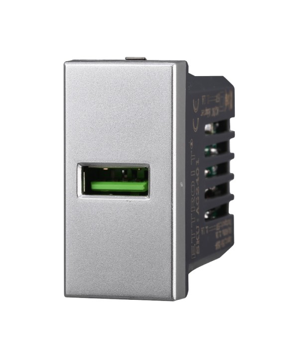 ETTROIT Modulo Presa Caricatore USB 5V 2,1A Colore Grigio Compatibile Con Bticino Axolute