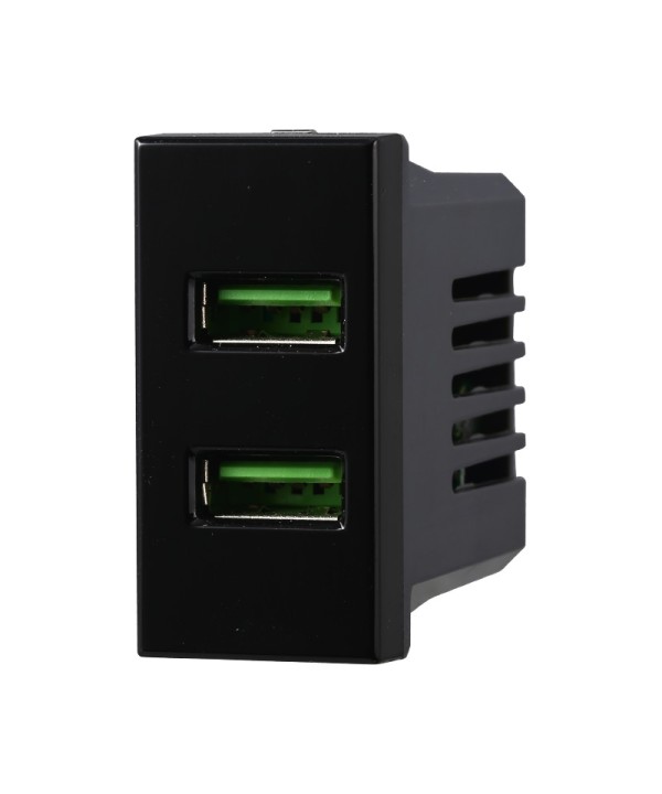 ETTROIT Modulo Presa Caricatore 2 USB 5V 2,1A 2 Porte USB-A Colore Nero Compatibile Con Bticino Axolute