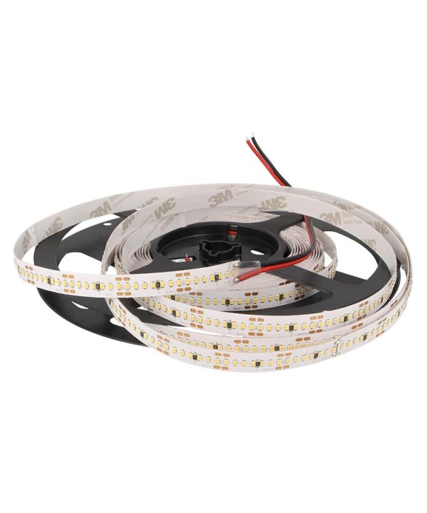 24V Bobina Led 22W/M CRI 90 Bianco Freddo 1400 Smd 2216 5 Metri
