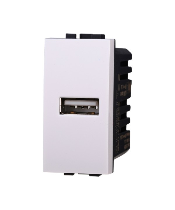 ETTROIT Modulo Presa Caricatore USB 5V 2,1A Colore BIANCO Compatibile Con Bticino Living Light