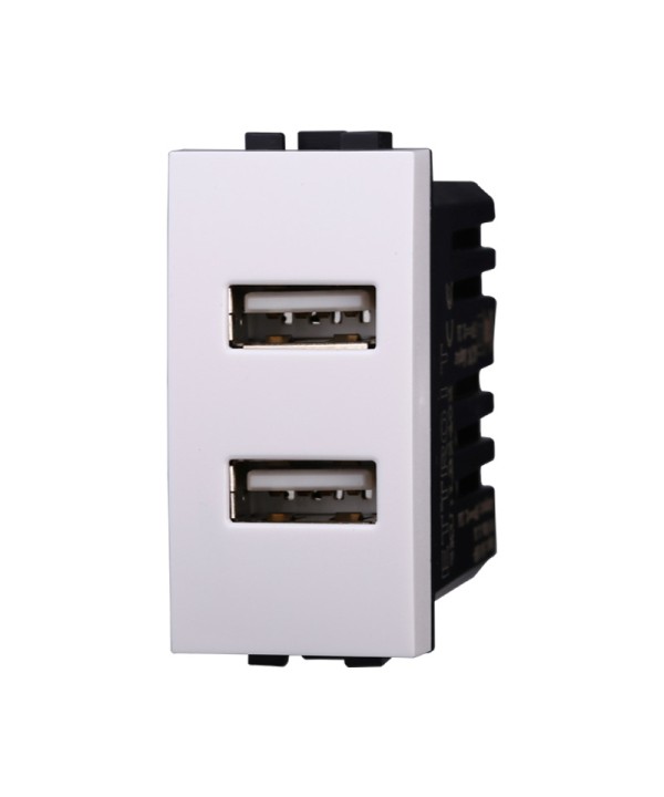 ETTROIT Modulo Presa Caricatore USB 5V 2,1A 2 Porte USB-A Colore BIANCO Compatibile Con Bticino Living Light