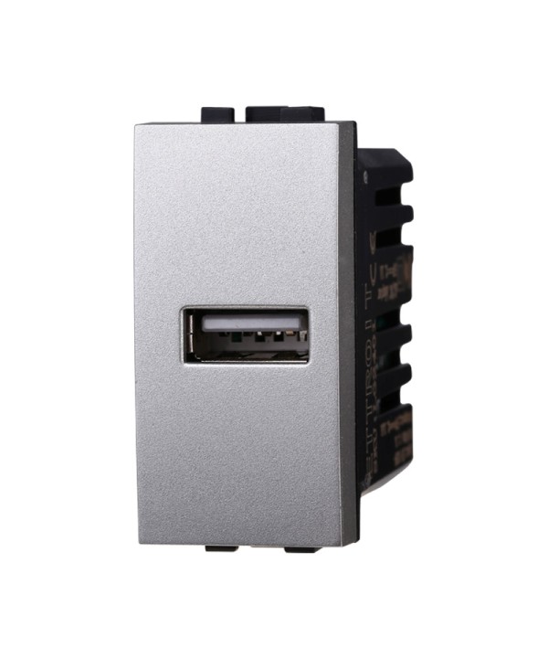 ETTROIT Modulo Presa Caricatore USB 5V 2,1A Colore GRIGIO Compatibile Con Bticino Living International