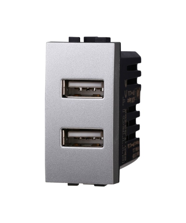 ETTROIT Modulo Presa Caricatore USB 5V 2,1A 2 Porte USB-A Colore GRIGIO Compatibile Con Bticino Living International