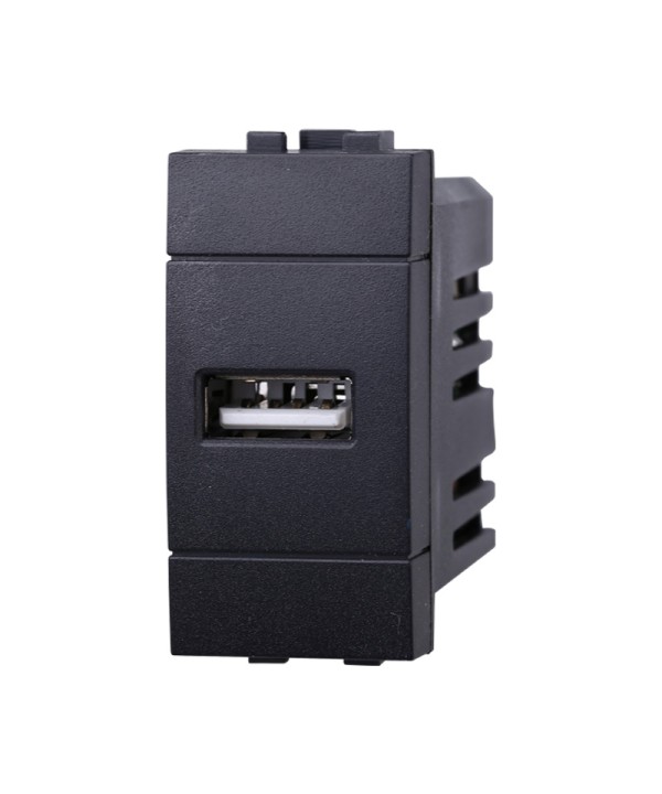 ETTROIT Modulo Presa Caricatore USB 5V 2,1A Colore Nero Compatibile Con Bticino Living International