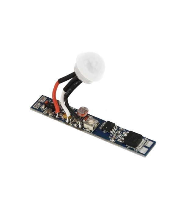 Sensore Di Movimento PIR + Light Sensore Crepuscolare 12V 24V 8A Regolabile