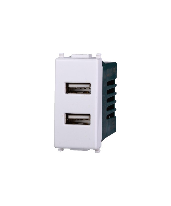 ETTROIT Modulo Presa Caricatore USB 5V 2,1A 2 Porte USB-A Colore BIANCO Compatibile Con Vimar Plana