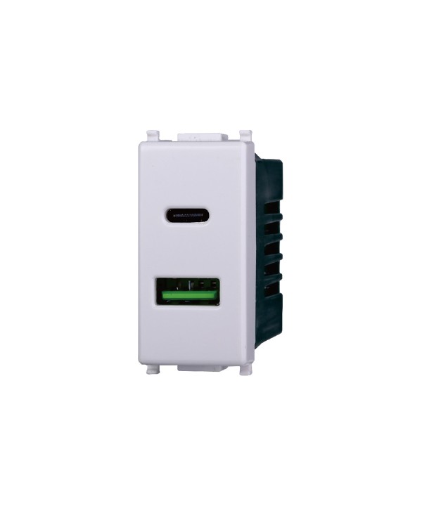 ETTROIT Modulo Presa Caricatore USB 2 Porte 3,1A USB-A + USB Type C Colore BIANCO Compatibile Con Vimar Plana