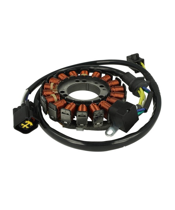 Statore Per Moto Suzuki DR-Z 400cc 2000-2003 OEM 32101-29F10-000