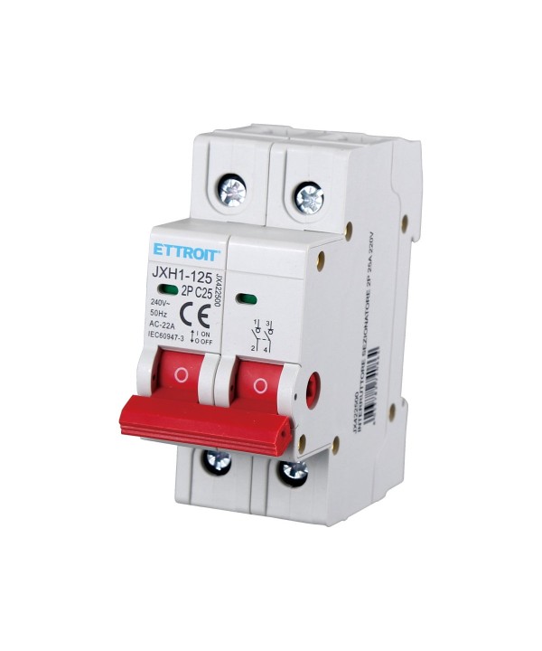 Interruttore Sezionatore 2P 25A 240VAC Guida DIN JXH1-125-2P-25A