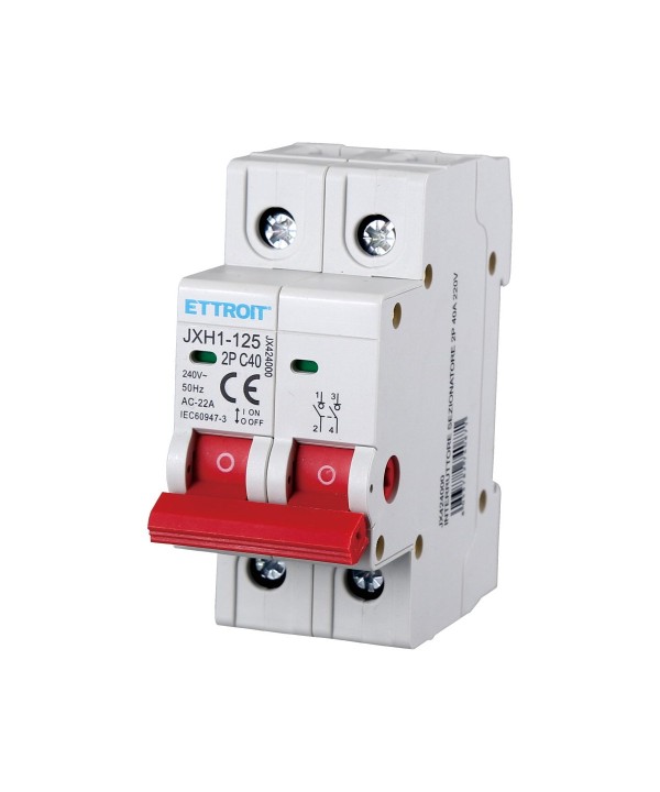 Interruttore Sezionatore 2P 40A 240VAC Guida DIN JXH1-125-2P-40A