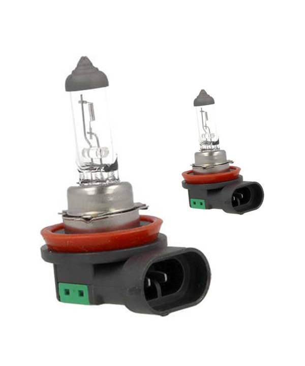 2 PZ Lampada Alogena Auto H11 12V 55W PGJ19-2 Trasparente Marca Carall
