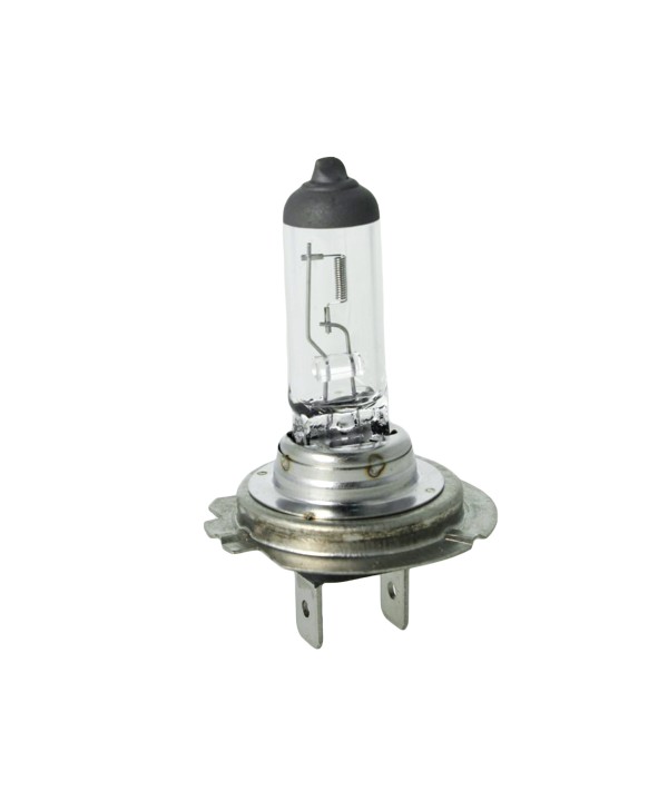 2 PZ Lampada Alogena Auto H18 12V 65W PY26d-1 Marca CARALL Ford Ecosport e Ford Kuga