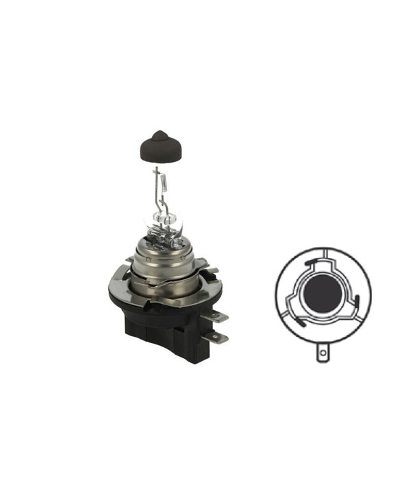 2 PZ Lampada Alogena H11B H9B 12V 55W PGJY19-2 Clear Compatibile Osram OA6424 64243
