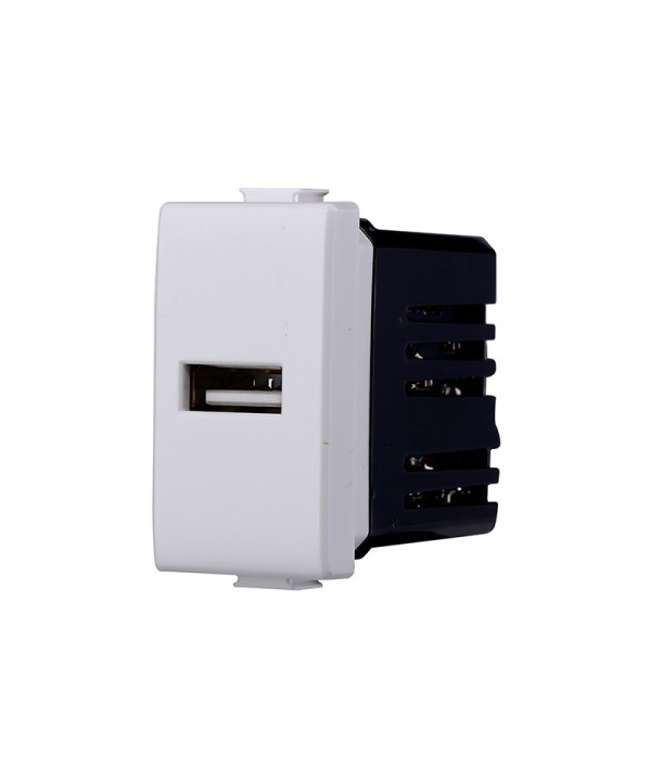 ETTROIT Modulo Presa Caricatore USB 5V 2,1A Bianco Compatibile Con Bticino Matix