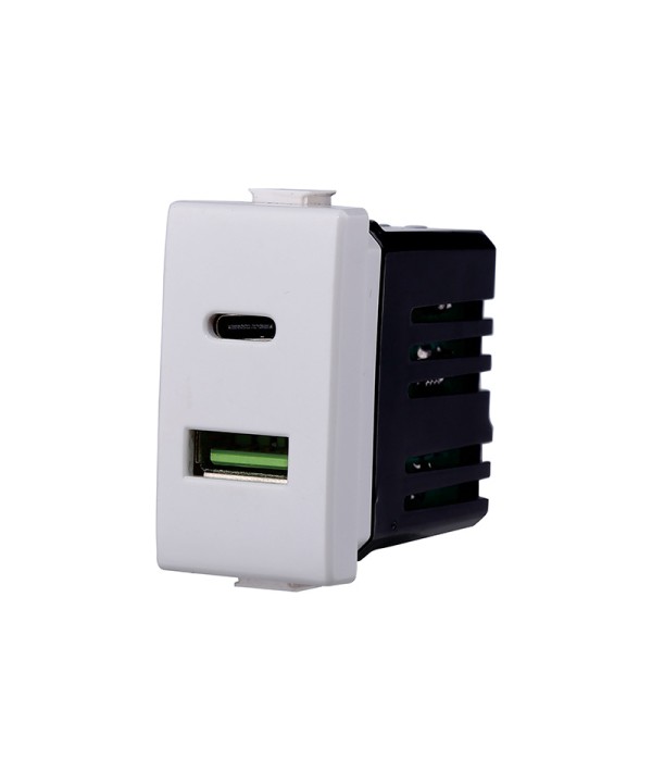 ETTROIT Modulo Presa Caricatore USB 2 Porte 3,1A USB-A + USB Type C Bianco Compatibile Con Bticino Matix