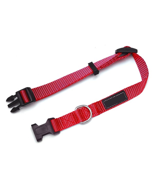Collare Cane Larghezza 10mm Lunghezza 20-30cm Colore Assortito