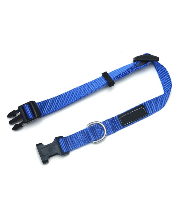 Collare Cane Larghezza 15mm Lunghezza 26-44cm Colore Assortito