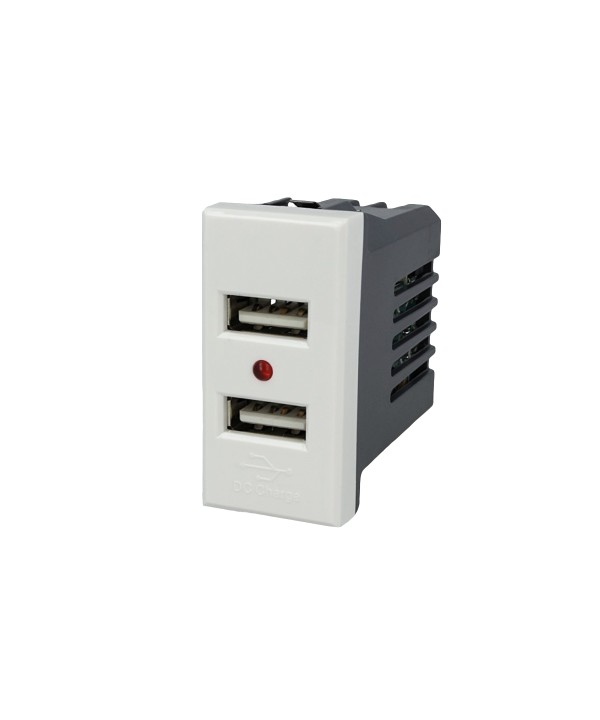 SANDASDON Modulo Caricatore 2 Porte USB 2,1A Bianco Compatibile Con Bticino Axolute