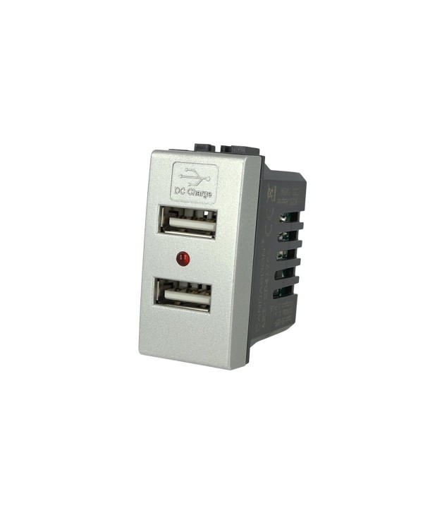 SANDASDON Modulo Caricatore 2 Porte USB 2,1A Grigio Compatibile Con Bticino Living