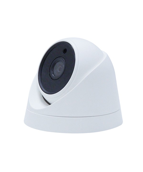 Telecamera Analogica Dome 1080P 2MP Ottica Fissa 2.8mm IP20 IR-CUT AHD CVI TVI CVBS DC12V SKU-8474