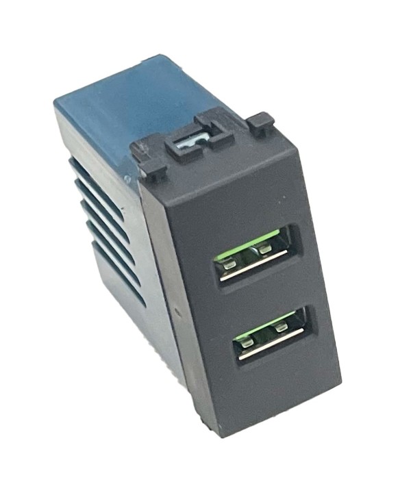 ETTROIT Modulo Presa Caricatore USB 5V 2,1A 2 Porte USB-A Colore Nero Compatibile Con Vimar Arke