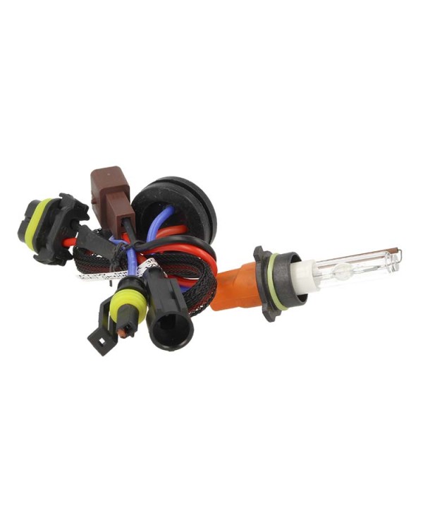 Lampada Hid Xenon P13W 6000K