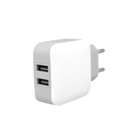 Caricatore 2 Porte USB 5V 2,1A Ricaricabatteria USB Ricarica Veloce