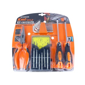Kit Attrezzi 17 Pezzi Cacciavite Di Precisione + Chiavi Esagonali a Brugola + Pinza A Becco Lungo