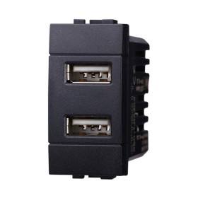 ETTROIT Modulo Presa Caricatore USB 5V 2,1A 2 Porte USB-A Colore Nero Compatibile Con Bticino Living International