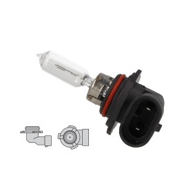 2 PZ Lampada Alogena HIR1 9011 12V 65W PX20d Clear Per Macchina Toyota Aygo IQ Yaris Lexus