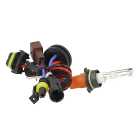Lampada Hid Xenon P13W 6000K